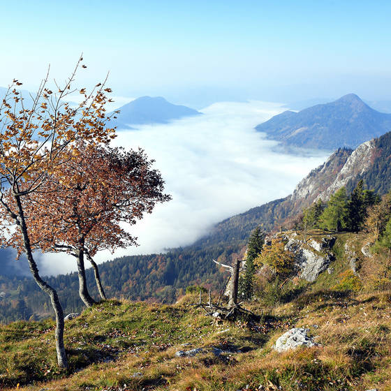 Landschaftsfoto mit Nebelmeer