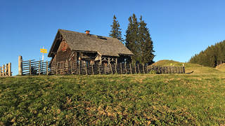 Hofbaueralm Hütte im Naturpark Almenland