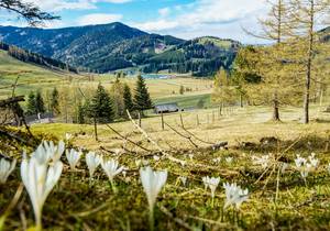Unterkünfte Urlaub Natur Naturpark Steiermark