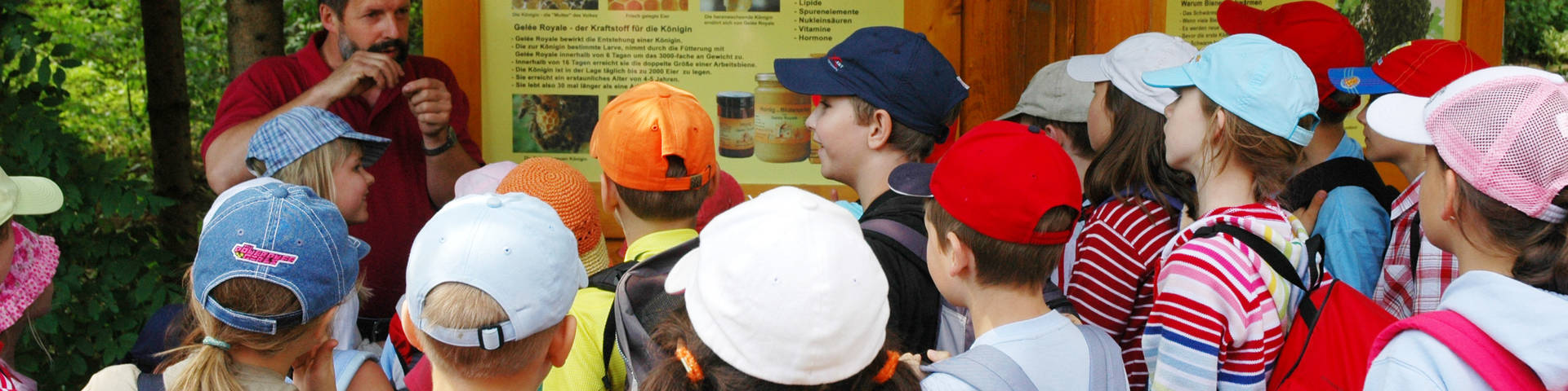 Verschiedene Schulprogramme im Naturpark Almenland