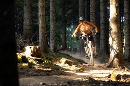Downhill im Wald bei der Funbase Holzmeister im Naturpark Almenland.