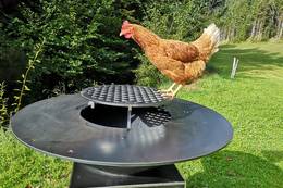 Griller beim Ferienhaus Naintschbauer.