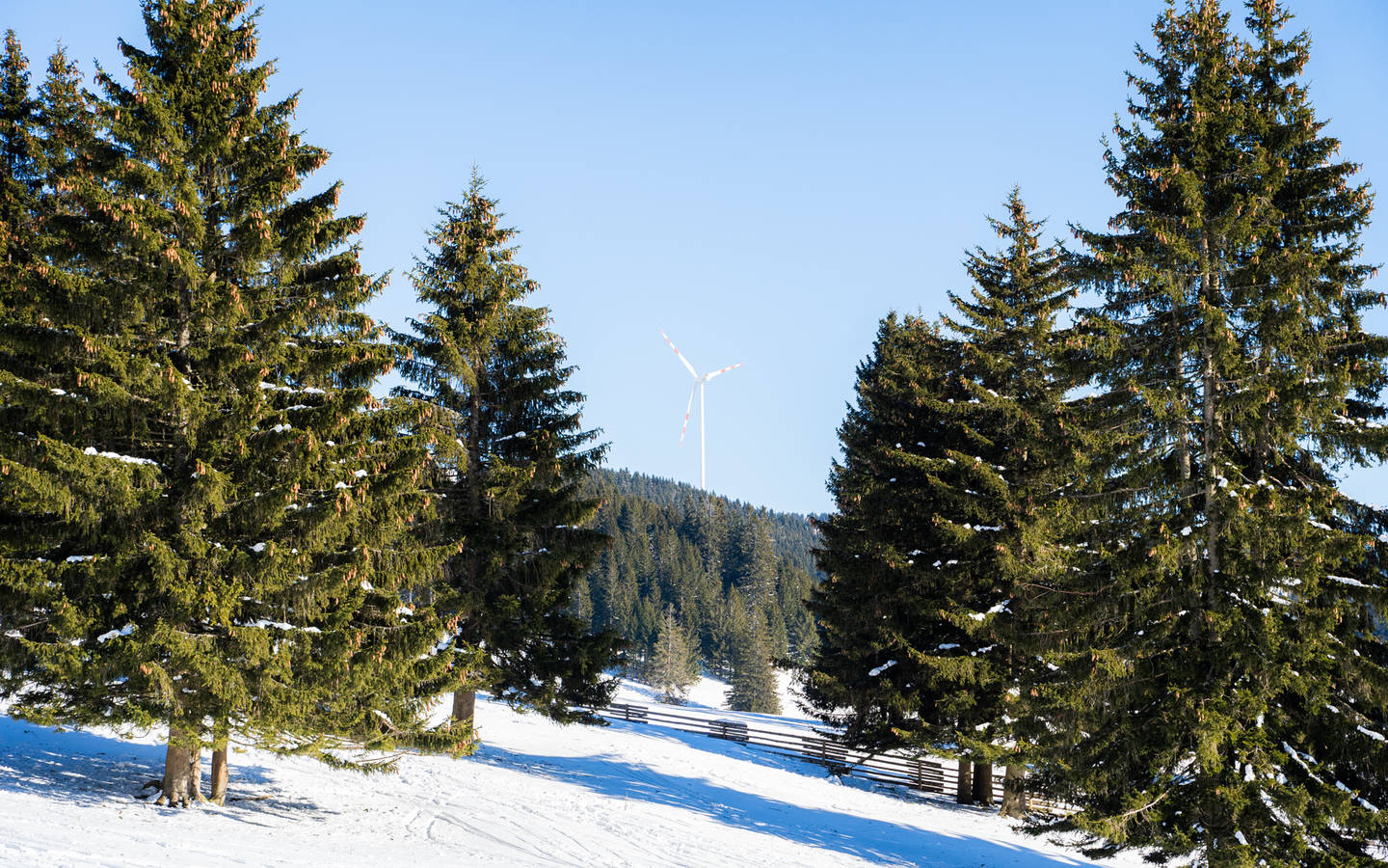 Winterlandschaft auf der Sommeralm