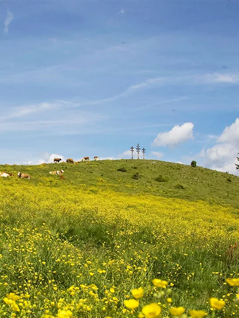Große Almwanderung