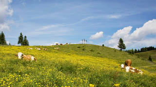 Alm-Rundweg von Passail Wanderung Steiermark