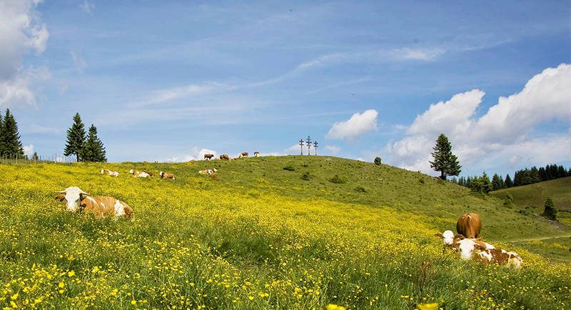 Weather crosses on the Sommeralm