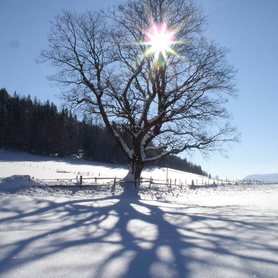 Wintersonne über der Nechnitz