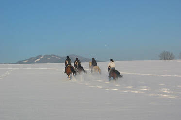 Winterausritt beim Pferdehof Stockner
