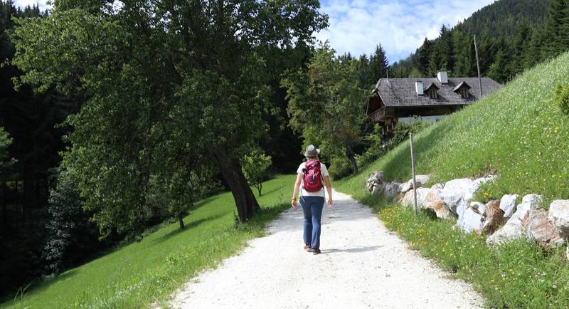 Wanderweg in Gasen im Naturpark Almenland