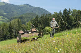 Herrliche Wiesen im Naturpark Almenland 