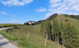 Drachentour View