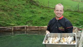 Almenland-Fisch / Gasthaus Karl-Wirt / Kulinarik