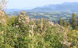 Schöckl, Ausblick