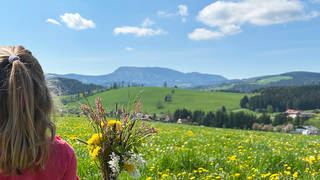 Frühlingsfrisches Erwachen / Frühling
