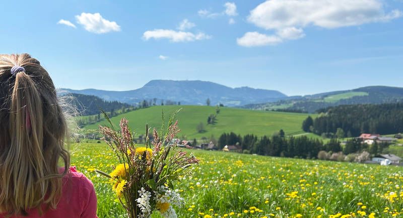 Frühlingsfrisches Erwachen im Naturpark Almenland.