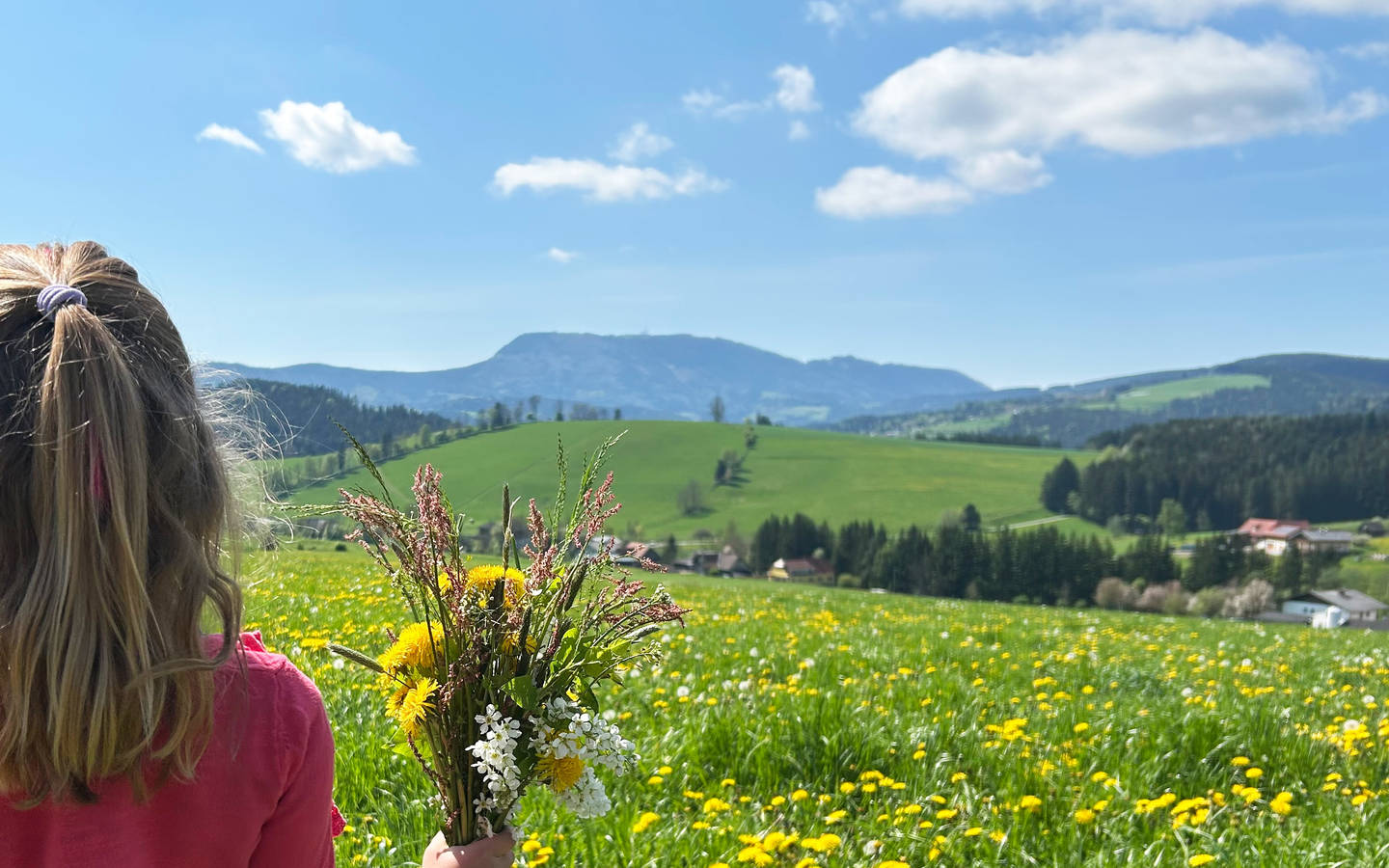 Frühlingshafter Ausblick im Naturpark Almenland.