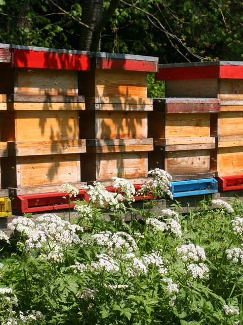 Bienenlehrpfad Passail