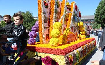 Wagen beim Blumenkorso