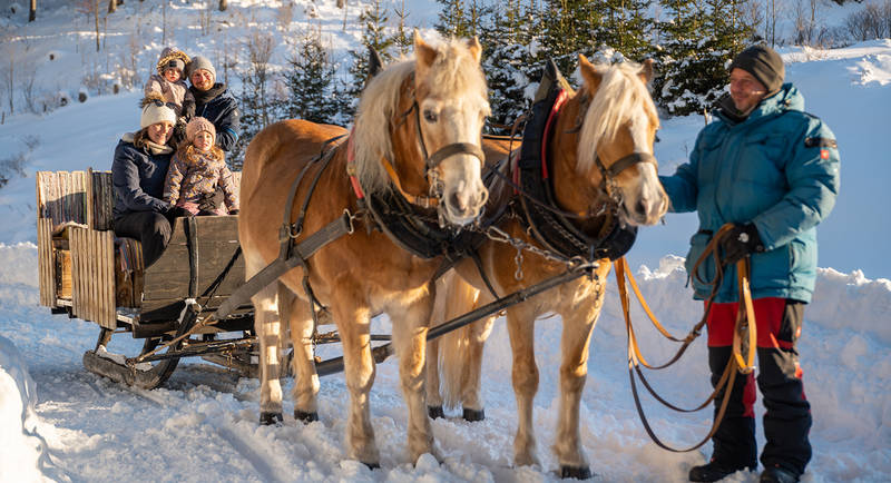 Sleigh rides on the Teichalm