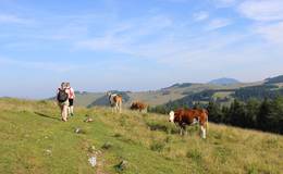 Wandern über die Sommeram