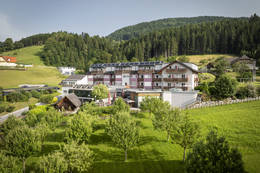 Das Vital-Hotel-Styria in Fladnitz/T.