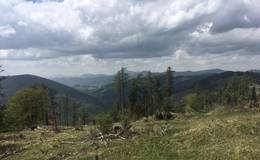 Look-out from the top of the mountain