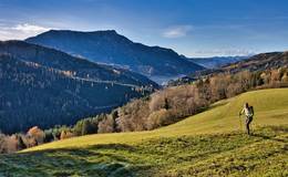 Panoramablick bei der Hofbauer Alm-Runde im Naturpark Almenland