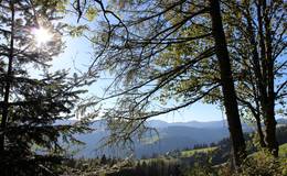 Königskogel, Blick zur Sommeralm