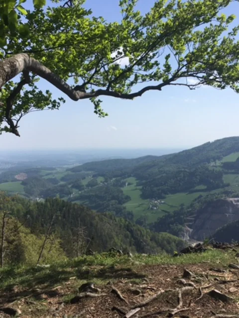 Patscha-Runde