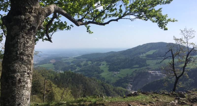 Ausblick vom Patscha