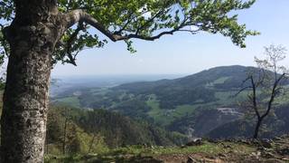 Patscha-Runde / St. Kathrein am Offenegg / Wandern