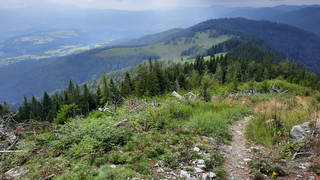 Alm-Runde / Raabursprung / Wandern
