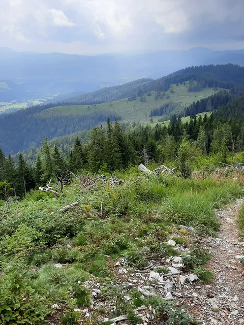Alm-Runde