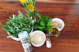 Löwenzahn Pesto Zutaten