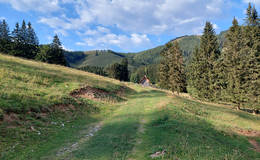 Drachentour Grass