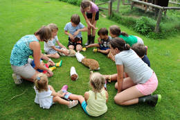 Kögerlbauer, petting zoo