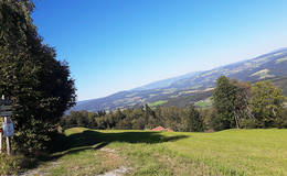 Overview from Sallegg