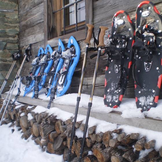 Schneeschuhwanderung auf der Teichalm