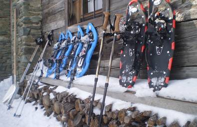 Snowshoe Hike in the Nature Park Almenland