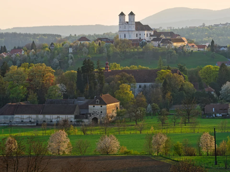 Ausblick auf die Basilika am Weizberg.