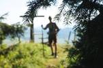 logbeitrag_Jagd_Almenland_Oststeiermark