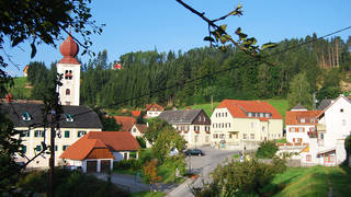 Genuss-Rundweg Koglhof Wanderung im Naturpark