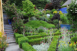 A lot of national and international flowers, trees and plants