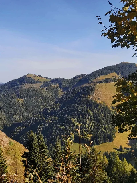 Haberlstall-Runde