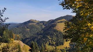 Haberlstall-Runde / Gasen / Wanderung