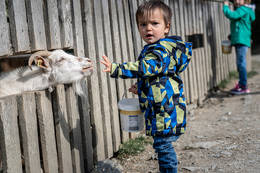 Kinder streicheln und füttern die Tiere
