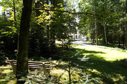 Waldblick bei der Waldpension Reisinger