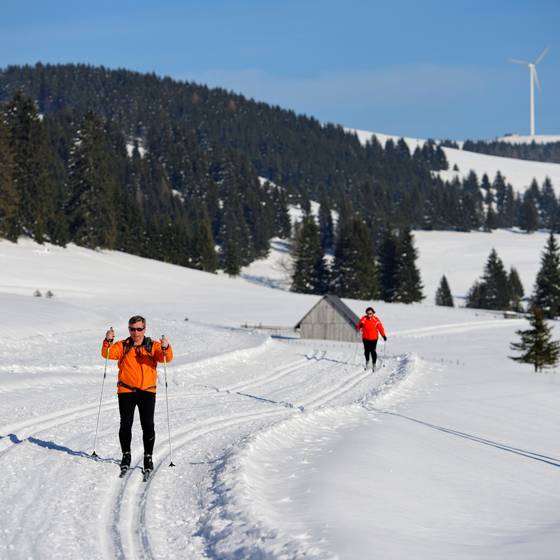 Langlaufloipe Sommeralm