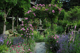 Into the flower garden