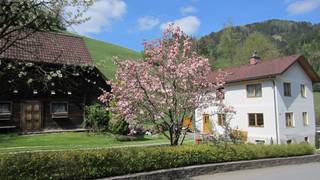 "Heidi's Schlummerkiste" holiday house in Styria